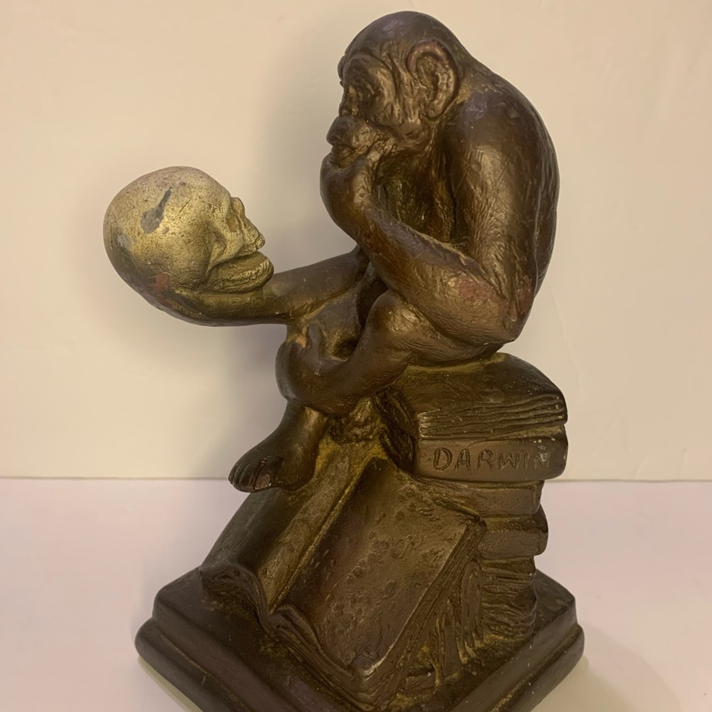 Darwin’s ape and skull sculpture